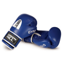 Синие боксерские перчатки GREEN HILL GYM (BGG-2018)