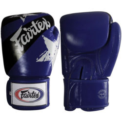 Синие боксерские перчатки FAIRTEX BGV1 NATION