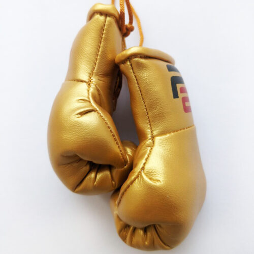Сувенирные боксерские перчатки FIGHT EXPRESS (в машину)