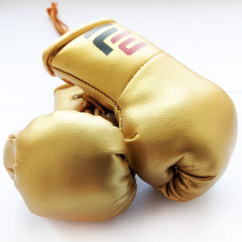Сувенирные боксерские перчатки FIGHT EXPRESS (сбоку)
