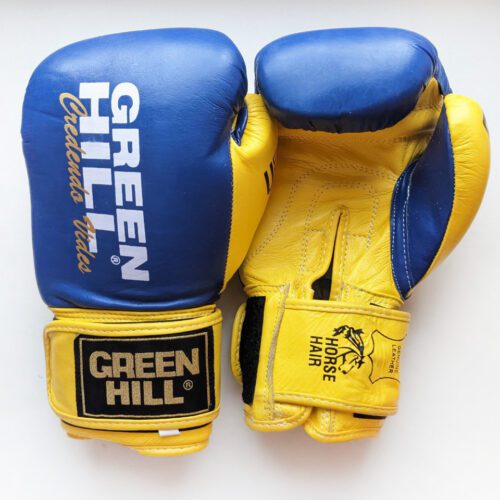 Синие боксерские перчатки GREEN HILL ULTRA
