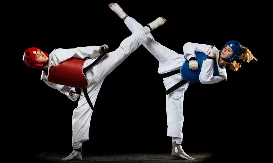 экипировка для тхэквондо